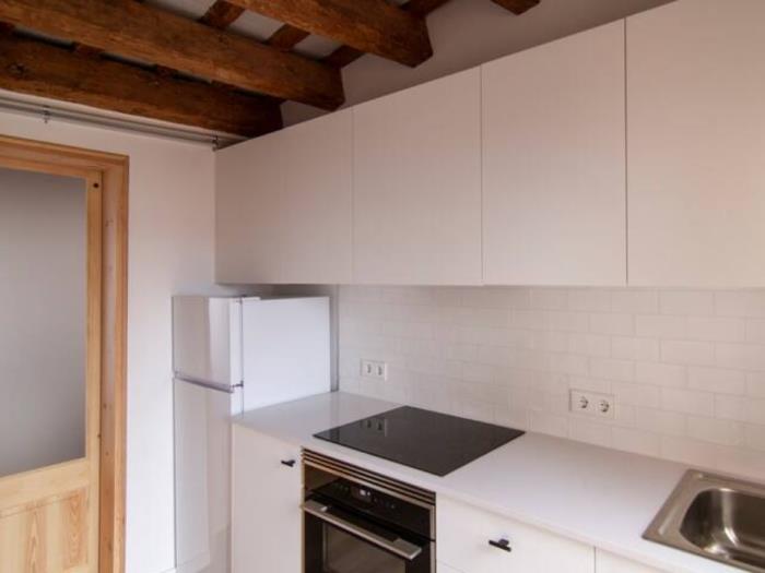 APARTMENT WITH DOUBLE BEDS AND SOFA BED in Barcelona